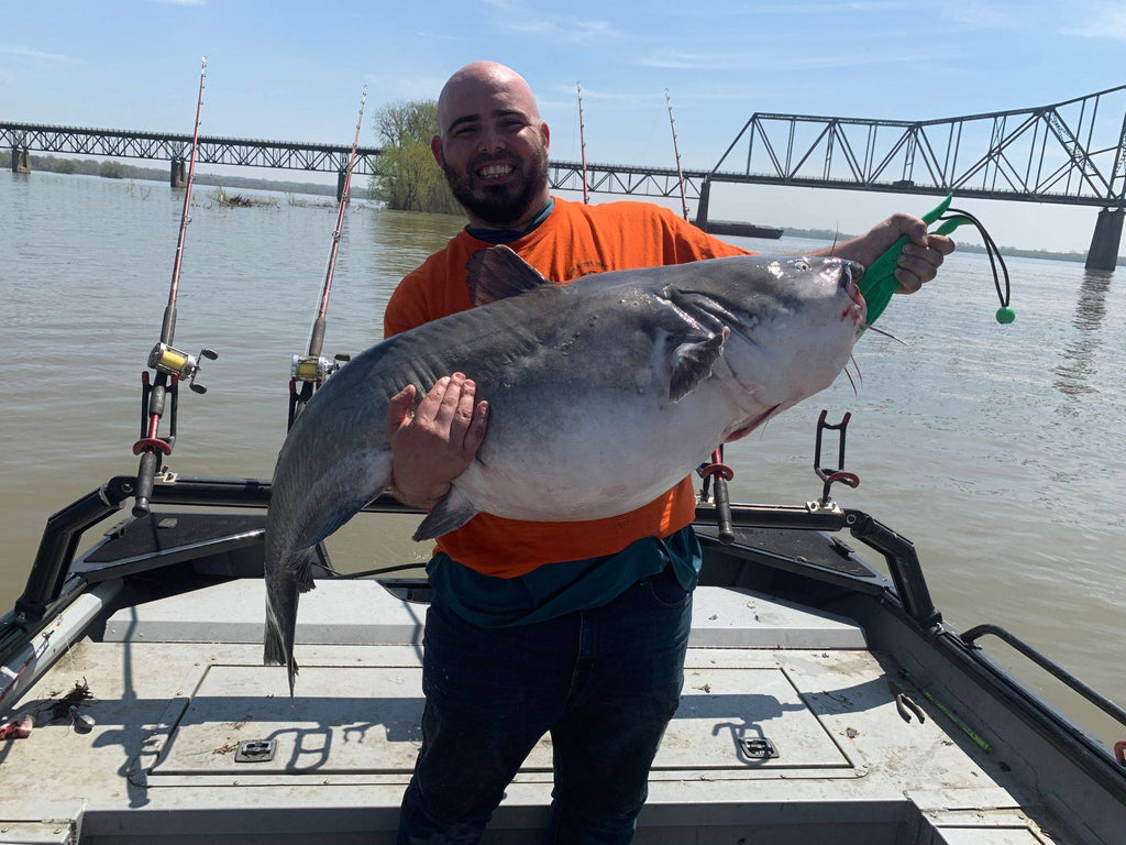 Monster 85# Blue Catfish caught on Rippin Lips MH Super Cat